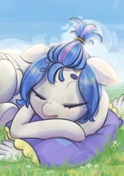 Size: 2480x3508 | Tagged: safe, artist:return 0, derpibooru import, oc, oc only, oc:napnap, pegasus, pony, blue sky, day, female, field, grass, mare, nap, sky background, sleeping, solo