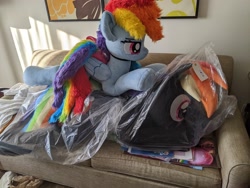 Size: 4032x3024 | Tagged: safe, artist:azgchip, artist:lanacraft, derpibooru import, photographer:anonymous, rainbow dash, twilight sparkle, oc, oc:dark rainbow dash, pegasus, pony, g4, bag, female, framed picture, high res, irl, life size, lying down, mare, on couch, pegasus oc, photo, plastic bag, plushie, pony plushie, prone, rainbow dash plushie, sofa, stack