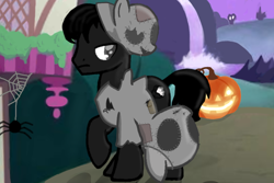 Size: 750x500 | Tagged: safe, derpibooru import, oc, oc:black rock cotton core, earth pony, pony, g4, clothes, mlp fim's fourteenth anniversary, nightmare night, photo, solo