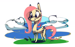 Size: 1400x893 | Tagged: safe, artist:alumx, derpibooru import, fluttershy, pegasus, pony, g4, cloud, female, full body, mare, outdoors, solo, standing