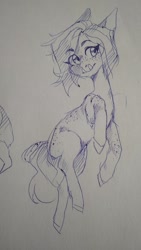 Size: 585x1040 | Tagged: safe, artist:saturn cat, derpibooru import, oc, oc only, pony, 2019, full body, pen drawing, sketch, solo, traditional art, tusk