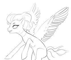 Size: 1028x860 | Tagged: safe, artist:saturn cat, derpibooru import, oc, oc only, pegasus, pony, 2019, black and white, digital art, grayscale, monochrome, pegasus oc, simple background, sketch, solo, spread wings, white background, wings