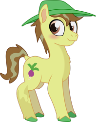 Size: 888x1128 | Tagged: safe, artist:prixy05, derpibooru import, hayseed turnip truck, earth pony, pony, series:magic forest, g4, hat, male, simple background, solo, stallion, transparent background, vector