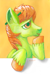 Size: 2011x2982 | Tagged: safe, artist:drawirm, derpibooru import, oc, oc only, earth pony, pony, male, pencil, pencil behind ear, solo, stallion, traditional art, unshorn fetlocks