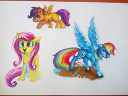 Size: 2828x2121 | Tagged: safe, artist:drawirm, derpibooru import, fluttershy, rainbow dash, scootaloo, pegasus, pony, g4, female, filly, foal, mare, simple background, spread wings, traditional art, trio, white background, wings