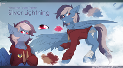 Size: 2700x1500 | Tagged: safe, artist:sinrinf, derpibooru import, oc, oc:silver lightning, pegasus, clothes, cloud, commission, commissioner:recless, hoodie, reference sheet, solo, ych result