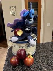 Size: 4284x5712 | Tagged: safe, derpibooru import, princess luna, g4, luna eclipsed, apple, food, mlp fim's fourteenth anniversary, photo, plushie, solo