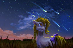 Size: 3708x2448 | Tagged: safe, artist:teaflower300, derpibooru import, oc, oc only, earth pony, pony, bow, earth pony oc, shooting star, solo, speedpaint available, tail, tail bow