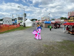 Size: 2016x1512 | Tagged: safe, derpibooru import, twilight sparkle, twilight sparkle (alicorn), alicorn, pony, g4, dutchess county fair, irl, new york, outdoors, photo, ponies in real life, rhinebeck