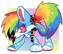 Size: 1184x1012 | Tagged: safe, artist:mawssacre, derpibooru import, rainbow dash, dog, g4, coontails, dogified, multicolored hair, rainbow dog, rainbow hair, rainbow tail, scene hair, scene kid, solo, sparkledog, species swap, tail