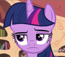 Size: 640x562 | Tagged: safe, derpibooru import, screencap, twilight sparkle, twilight sparkle (alicorn), alicorn, pony, g4, testing testing 1-2-3, all new, cropped, disappointed, female, golden oaks library, indoors, mare, solo, text, upper body, watermark