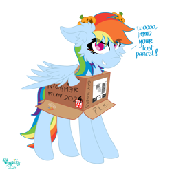 Size: 4096x4096 | Tagged: safe, artist:vinyvitz, derpibooru exclusive, derpibooru import, rainbow dash, pegasus, pony, box, ear fluff, ears, eyelashes, female, grammar, grammar error, hairpin, halloween, holiday, jack-o-lantern, looking at you, marker drawing, mlp fim's fourteenth anniversary, multicolored hair, multicolored tail, polish, pony in a box, pumpkin, qr code, simple background, smiling, solo, speech, spread wings, standing, tail, talking, text, traditional art, transparent background, wings