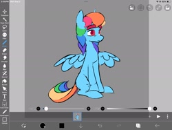 Size: 2160x1620 | Tagged: safe, artist:partyponypower, artist:starlightglmr, derpibooru import, rainbow dash, pegasus, pony, g4, alternate eye color, alternate hairstyle, alternate universe, art program in frame, blue coat, colored eyebrows, colored pupils, colored sketch, eyebrows, eyebrows visible through hair, frown, ibispaint x, male, missing cutie mark, multicolored hair, multicolored mane, rainbow hair, rainbow tail, red eyes, red pupils, sitting, sketch, solo, spread wings, stallion, tail, three quarter view, trans male, trans rainbow dash, transgender, wings