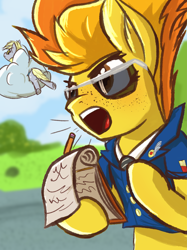 Size: 4465x5963 | Tagged: safe, artist:simplesaemple, derpibooru import, derpy hooves, spitfire, pegasus, pony, g4, absurd resolution, bubble butt, butt, clothes, cloud, drill sergeant, freckles, notebook, outdoors, pencil, sunglasses, uniform, wonderbolt trainee uniform, yelling