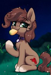 Size: 832x1216 | Tagged: safe, ai content, anonymous artist, derpibooru import, machine learning assisted, oc, oc only, oc:scarfy bat-heart, earth pony, pony, brown coat, brown mane, brown tail, chest fluff, cutie mark, ear fluff, ears, eating, eyebrows, eyebrows visible through hair, eyes open, female, female oc, food, grass, happy, jewelry, mango, mare, mouth hold, necklace, night, outdoors, raised hoof, raised leg, sitting, smug, solo, stars, tail