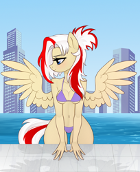 Size: 2200x2700 | Tagged: artist needed, safe, derpibooru import, oc, oc only, oc:redsun, anthro, pegasus, belly, belly button, bikini, breasts, city, cityscape, clothes, female, outdoors, purple bikini, purple swimsuit, solo, swimsuit, wide hips, wings