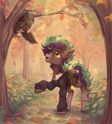 Size: 3362x3701 | Tagged: safe, artist:thekiwibunny, derpibooru import, oc, oc only, oc:forest dew, oc:willow, bird, earth pony, owl, pony, autumn, bag, book, clothes, coat markings, crepuscular rays, detailed background, forest, full body, happy, high res, leaf, leaves, male, multicolored hair, nature, outdoors, plant, saddle bag, shading, socks (coat marking), solo, stallion, sweater, tree, unshorn fetlocks