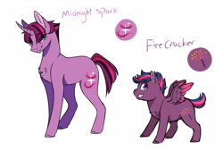 Size: 1900x1286 | Tagged: safe, artist:yozora122, derpibooru import, oc, oc only, oc:firecracker twist, oc:midnight spark, alicorn, pegasus, pony, unicorn, alicorn oc, chest fluff, colt, duo, female, foal, horn, magical lesbian spawn, male, mare, next generation, offspring, parent:tempest shadow, parent:twilight sparkle, parents:tempestlight, reference sheet, siblings, simple background, spread wings, white background, wings