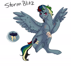 Size: 1800x1700 | Tagged: safe, artist:yozora122, derpibooru import, oc, oc only, oc:storm blitz, pony, unicorn, bandage, flying, horn, male, next generation, offspring, parent:king sombra, parent:rainbow dash, parents:sombradash, reference sheet, scar, scratches, simple background, solo, stallion, white background