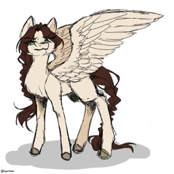 Size: 800x800 | Tagged: safe, artist:illustra, derpibooru import, oc, oc only, pegasus, pony, braid, braided ponytail, braided tail, eye clipping through hair, eyebrows, eyebrows visible through hair, female, female oc, full body, green eyes, large wings, looking at you, mare, mare oc, pegasus oc, ponytail, simple background, sketch, solo, spread wings, standing, tail, unshorn fetlocks, white background, wings