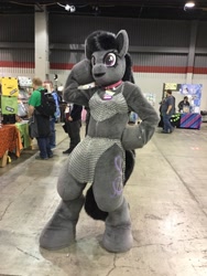 Size: 1200x1600 | Tagged: safe, derpibooru import, octavia melody, human, 2019, fursuit, hoof on chin, indoors, irl, irl human, midwest furfest, photo, ponysuit, pose, solo focus