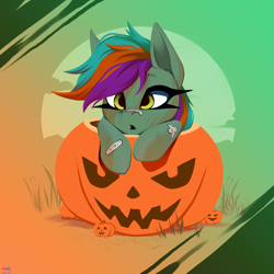 Size: 2500x2500 | Tagged: safe, artist:darky_wings, derpibooru import, oc, oc only, oc:detonaty, pegasus, pony, commission, cute, gradient background, halloween, halloween 2024, holiday, ocbetes, outdoors, pumpkin, solo, ych example, your character here