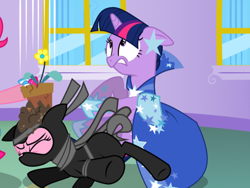 Size: 788x594 | Tagged: safe, artist:christhes, derpibooru import, edit, pinkie pie, twilight sparkle, unicorn twilight, earth pony, pony, unicorn, g4, clothes, cropped, dress, duo, ears, female, floppy ears, flower pot, gala dress, horn, indoors, mare, ninja, pinkie spy, shoes, stars, twilight sparkle's first gala dress