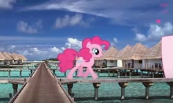 Size: 1250x750 | Tagged: safe, derpibooru import, pinkie pie, g4, collect cupcakes lick ponies, door, female, flash game, island, tropical