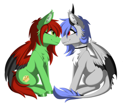 Size: 3600x3038 | Tagged: safe, alternate version, artist:melodytheartpony, derpibooru import, oc, oc only, oc:melody silver, oc:raist, dracony, dragon, hybrid, pegasus, choker, commission, duo, ear piercing, facing each other, female, feral, happy, long mane, looking at each other, looking at someone, partner, piercing, shipping, short mane, signature, simple background, sitting, smiling, spread wings, white background, wings, ych result, your character here