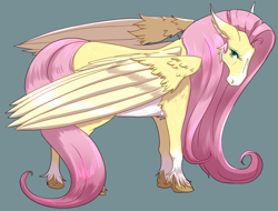 Size: 1088x825 | Tagged: safe, artist:liokkamillie, derpibooru import, fluttershy, pegasus, pony, g4, female, headcanon, mare, realistic, realistic horse legs, realistic wings, solo, unshorn fetlocks, wings