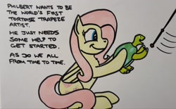 Size: 2048x1271 | Tagged: safe, artist:hoofclid, derpibooru import, fluttershy, pegasus, pony, tortoise, g4, female, mare, marker drawing, smiling, solo, text, traditional art, trapeze