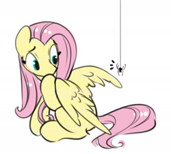 Size: 2190x1972 | Tagged: safe, artist:opalacorn, derpibooru import, fluttershy, pegasus, pony, spider, g4, female, inktober, inktober 2024, looking back, mare, simple background, solo, white background