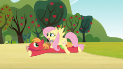 Size: 1920x1080 | Tagged: safe, anonymous artist, derpibooru import, edit, edited screencap, screencap, big macintosh, fluttershy, earth pony, pegasus, pony, g4, too many pinkie pies, apple, apple tree, character swap, duo, duo male and female, female, fluttermac, looking at each other, looking at someone, lying down, male, mare, open mouth, open smile, outdoors, prone, shipping, smiling, smiling at each other, sploot, stallion, straight, sweet apple acres, tree