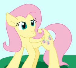 Size: 872x783 | Tagged: safe, artist:cmara, derpibooru import, fluttershy, pegasus, female, solo