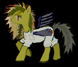 Size: 2887x2500 | Tagged: safe, artist:vemrill, derpibooru import, pegasus, pony, black background, clothes, full body, gray tail, green coat, green mane, simple background, smiling, wings