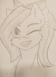 Size: 2928x4000 | Tagged: safe, artist:yumir, derpibooru import, pony, bust, portrait, traditional art