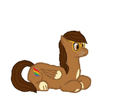 Size: 579x468 | Tagged: safe, artist:arandomlonelydude, derpibooru import, oc, oc only, oc:feather brush, cat, hybrid, pegasus, pony, fanfic art, female, glasses, lying down, mare, ponyloaf, prone, solo, whiskers