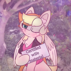 Size: 2664x2664 | Tagged: safe, artist:sodapop sprays, derpibooru import, oc, oc only, oc:sodapop sprays, pegasus, pony, blushing, clothes, holding sign, looking at you, one eye closed, outdoors, solo, wink, winking at you