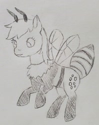 Size: 1732x2197 | Tagged: safe, artist:mannitenerisunt, derpibooru exclusive, derpibooru import, derpy hooves, bee, bee pony, original species, pony, antennae, cross-eyed, female, flying, insect wings, mare, neck fluff, pencil drawing, sketch, solo, species swap, traditional art, wings