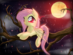 Size: 4000x3000 | Tagged: safe, artist:spidershii, derpibooru import, fluttershy, bat pony, pony, bats!, g4, bat ponified, bat wings, ear fluff, ears, female, flutterbat, flying, full moon, high res, lying down, mare, moon, night, night sky, outdoors, race swap, sky, slit eyes, solo, stars, tail, tree, tree branch, wings