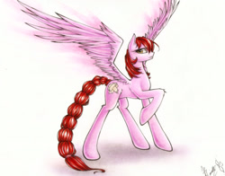 Size: 2055x1615 | Tagged: safe, artist:spidershii, derpibooru import, oc, oc only, oc:sweetcake, pegasus, pony, braid, braided tail, concave belly, female, large wings, long tail, mare, pegasus oc, raised hoof, raised leg, signature, slender, solo, spread wings, tail, tall, thin, traditional art, wings