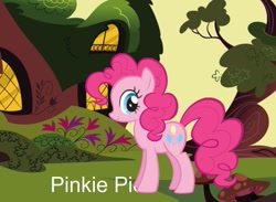 Size: 859x630 | Tagged: safe, derpibooru import, pinkie pie, earth pony, pony, g4, female, golden oaks library, leak, mare, solo