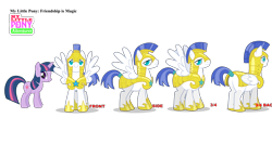 Size: 3328x1772 | Tagged: safe, derpibooru import, twilight sparkle, unicorn twilight, pony, unicorn, g4, .svg available, armor, colored pupils, duo, duo male and female, female, leak, male, mare, my little pony adventures, official, reference sheet, royal guard, show bible, simple background, teal pupils, transparent background, vector