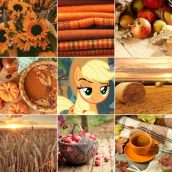 Size: 5306x5306 | Tagged: safe, derpibooru import, edit, edited screencap, screencap, applejack, earth pony, pony, g4, aesthetics, apple, apple pie, autumn, cup, flower, food, green eyes, hay, moodboard, pie, pumpkin, pumpkin pie, solo, sunflower, sunset, teacup, wheat, yellow mane