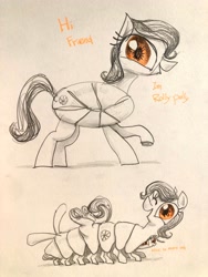 Size: 3024x4032 | Tagged: safe, artist:ja0822ck, derpibooru import, oc, oc only, bug pony, insect, pony, female, mare, multiple limbs, pillbug, ponified, species swap, traditional art