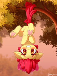 Size: 1800x2400 | Tagged: safe, alternate version, artist:symbianl, derpibooru import, apple bloom, earth pony, pony, g4, adorabloom, blushing, cheek fluff, colored underhoof, cute, dock, ear fluff, ears, female, filly, floppy ears, fluffy, foal, frog (hoof), hanging, hanging by tail, hanging upside down, heart, hoof heart, leg fluff, looking at you, outdoors, prehensile tail, silly, silly filly, silly pony, smiling, smiling at you, solo, tail, tail hold, tree, tree branch, underhoof, upside down