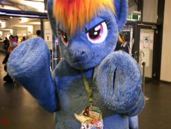 Size: 1600x1200 | Tagged: safe, artist:atalonthedeer, artist:giovannimagnus, derpibooru import, rainbow dash, 2018, badge, bust, eurofurence, fursuit, indoors, irl, photo, ponysuit, portrait, solo, waving