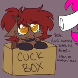 Size: 600x600 | Tagged: safe, artist:php193, derpibooru import, oc, oc only, oc:bubblegum kiss, oc:whiskey dreams, pony, box, cheek fluff, cuckold, cuckolding, duo, funny, pathetic, pony in a box, sad