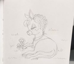 Size: 1080x940 | Tagged: safe, artist:maretriarch, derpibooru import, matilda, donkey, g4, eyes closed, female, flower, freckles, lying down, on side, smiling, solo, tail, traditional art, unshorn fetlocks