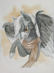 Size: 1662x2217 | Tagged: safe, artist:rowankitten, derpibooru import, oc, oc only, oc:midnight serenity, pegasus, pony, bust, clothes, male, raised hoof, raised leg, scarf, solo, spread wings, stallion, traditional art, watercolor painting, wings